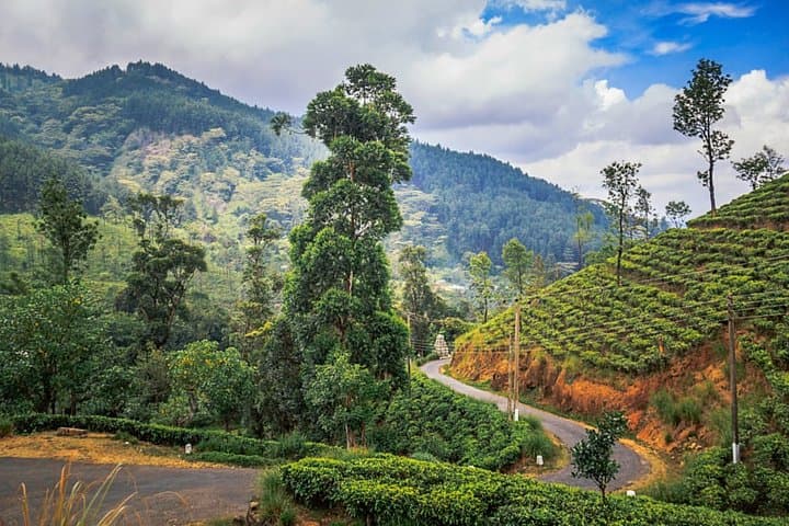 Knuckles & Riverston Trek: Full-Day Trekking Adventure from Kandy