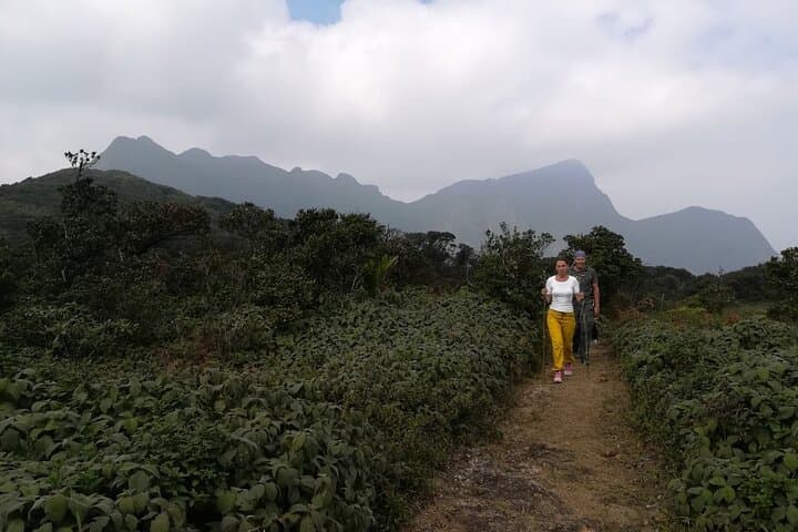 Knuckles & Riverston Trek: Full-Day Trekking Adventure from Kandy photo 3