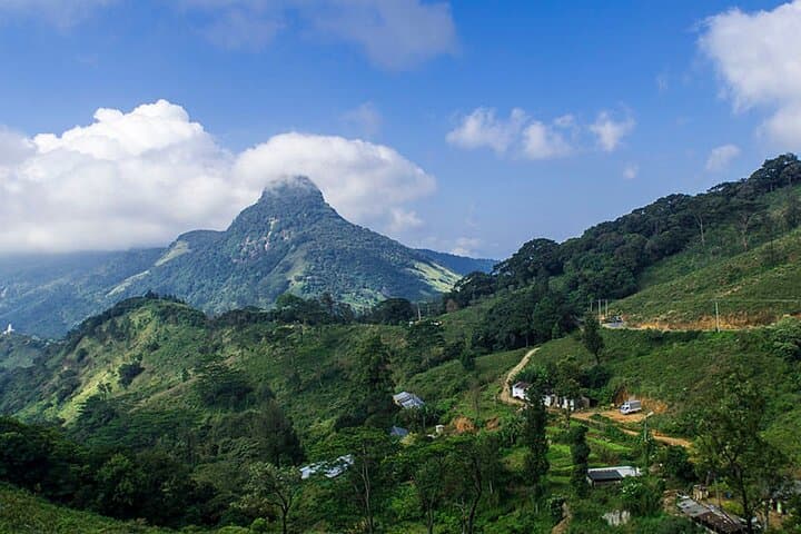 Knuckles & Riverston Trek: Full-Day Trekking Adventure from Kandy photo 4