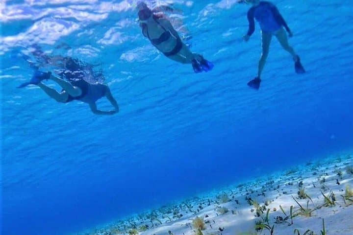 El Cielo Full-Day Snorkel in Cozumel: Starfish, Palancar & Beach Club Experience photo 2