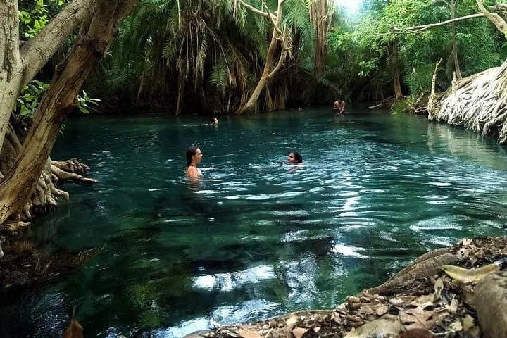 Kikuletwa (Majimoto) Hot Springs Day Trip from Arusha & Kilimanjaro