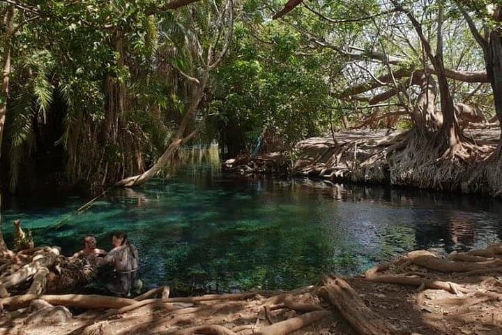 Kikuletwa (Majimoto) Hot Springs Day Trip from Arusha & Kilimanjaro photo 4