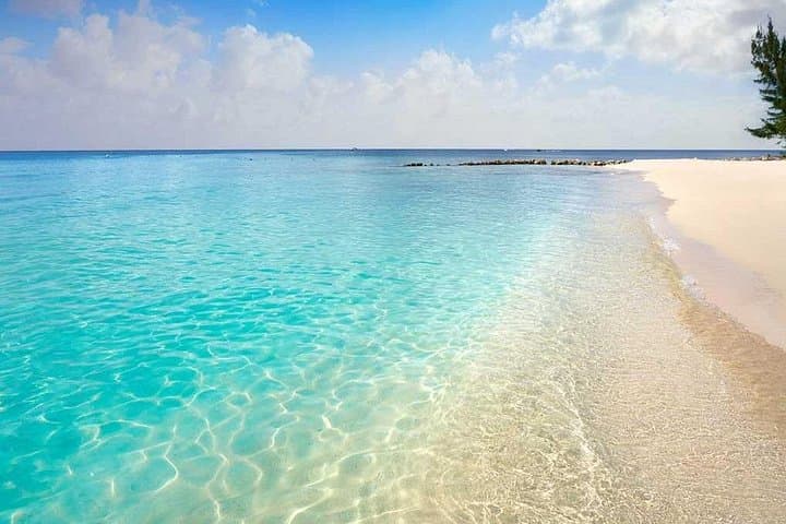 El Cielo Full-Day Snorkel in Cozumel: Starfish, Palancar & Beach Club Experience photo 4