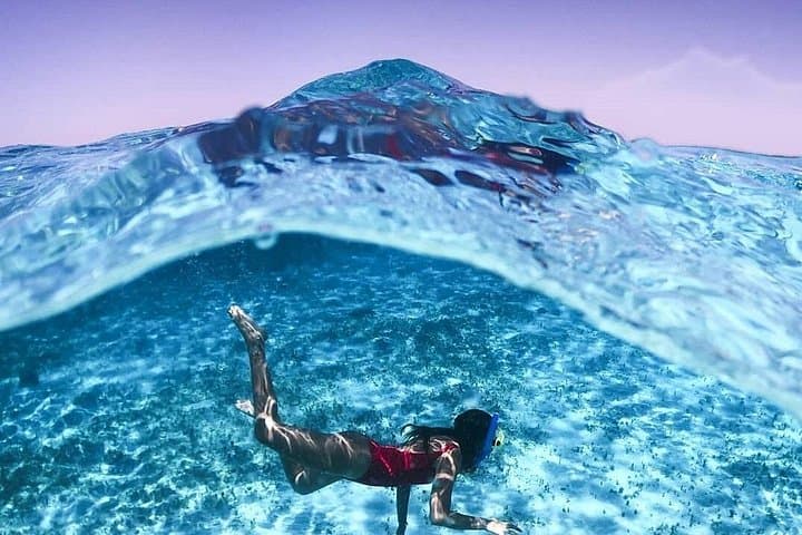 El Cielo Full-Day Snorkel in Cozumel: Starfish, Palancar & Beach Club Experience photo 1