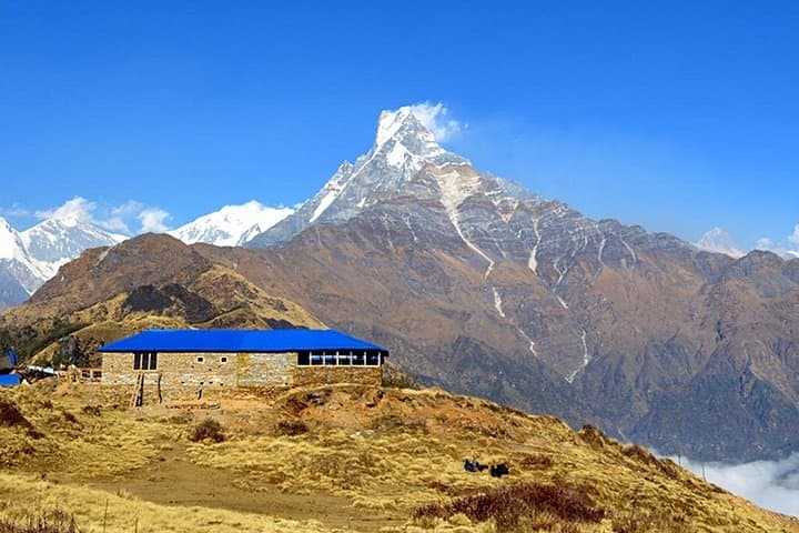 Mardi Himal Trek: 6-Day Trek to 4,500 m Base Camp from Pokhara
