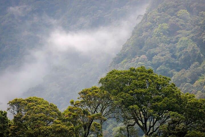 Kodiyaragala Night Hike and Mandaram Nuwara Camping — Overnight from Kandy