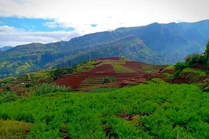Kodiyaragala Night Hike and Mandaram Nuwara Camping — Overnight from Kandy photo 2