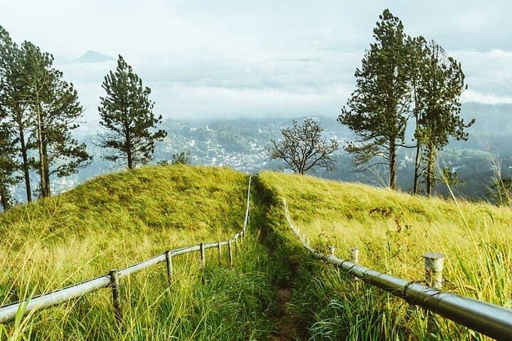 Hanthana One-Day Hike From Kandy — Tea Estates, Peaks & Birdwatching