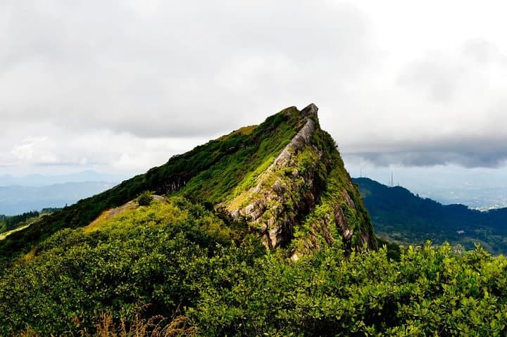 Hanthana One-Day Hike From Kandy — Tea Estates, Peaks & Birdwatching photo 2