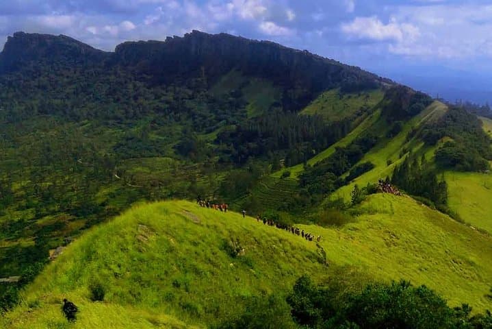 Hanthana One-Day Hike From Kandy — Tea Estates, Peaks & Birdwatching photo 3