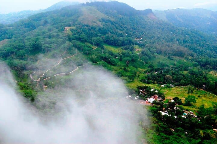Hanthana One-Day Hike From Kandy — Tea Estates, Peaks & Birdwatching photo 4