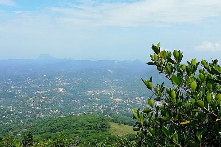 Hanthana One-Day Hike From Kandy — Tea Estates, Peaks & Birdwatching photo 5