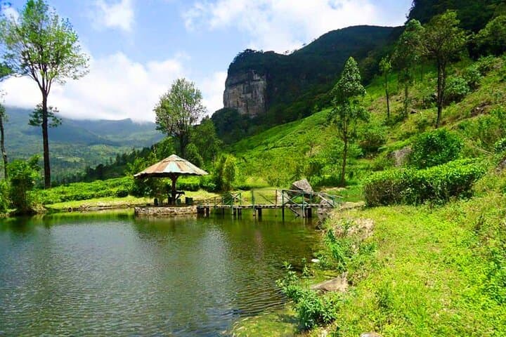3-Day Kandy to Nuwara Eliya: Temple of the Tooth, Tea Estates & Botanical Gardens photo 6