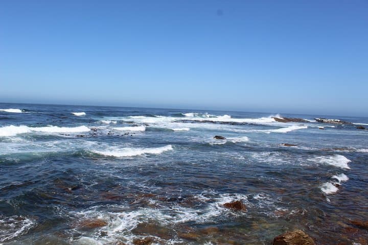 Private Cape Agulhas Tour: Where the Two Oceans Meet & Winery Visit photo 6