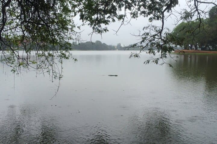 Wayamba Triangle Day Tour from Kandy — Kurunegala Elephant Rock & Ridi Viharaya photo 5