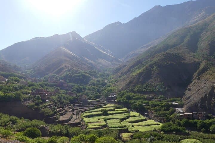 Day Trip to Morocco’s Atlas Mountains and Three Valleys from Marrakech photo 5