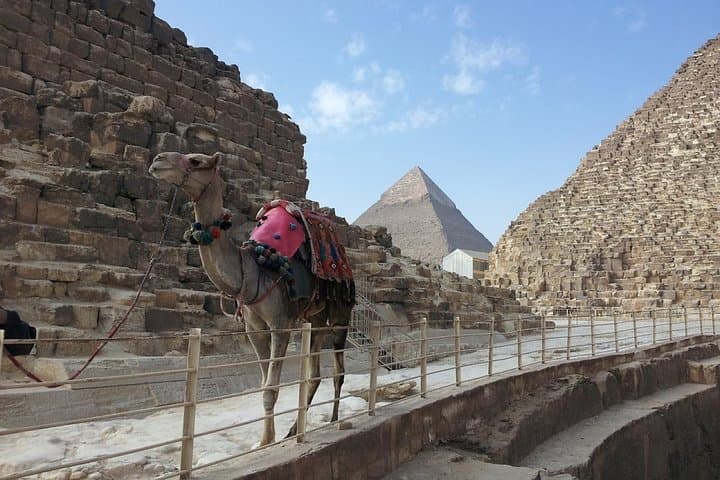 Camel Ride at the Pyramids: Ride Like a Pharaoh on the Giza Plateau