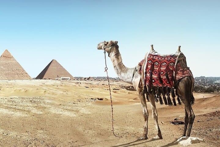 Camel Ride at the Pyramids: Ride Like a Pharaoh on the Giza Plateau photo 2