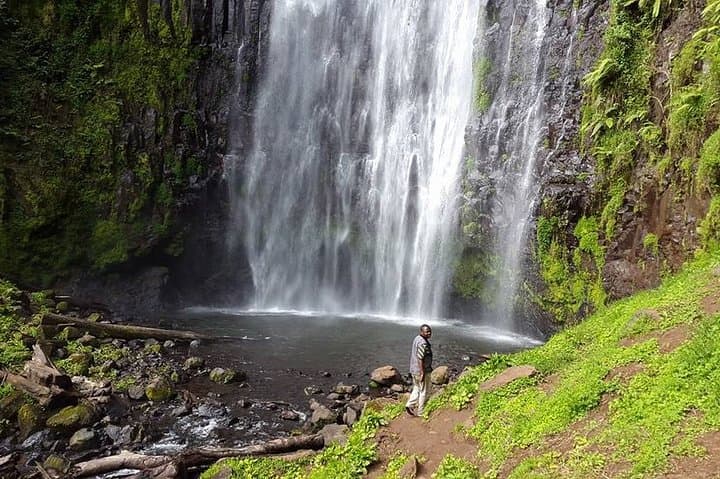 Materuni Waterfalls Full-Day Hike & Coffee Tour from Moshi photo 5
