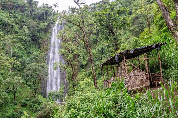 Materuni Waterfalls Full-Day Hike & Coffee Tour from Moshi photo 6
