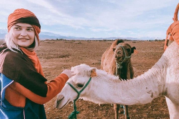 Atlas Mountains Day Trip from Marrakech: Imlil Hike, Berber Lunch & Camel Ride photo 5