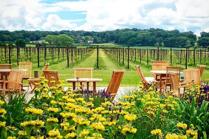 Private Wine Tours of Kent: Vineyard Tastings & Countryside Lunch photo 4