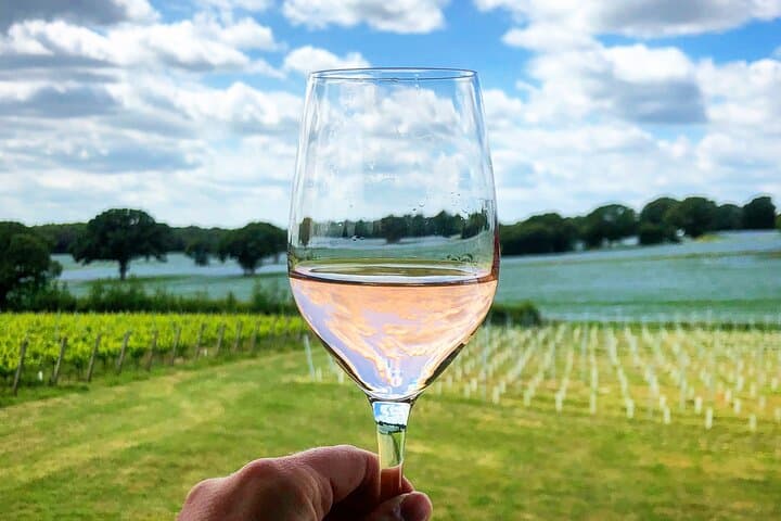Private Wine Tours of Kent: Vineyard Tastings & Countryside Lunch