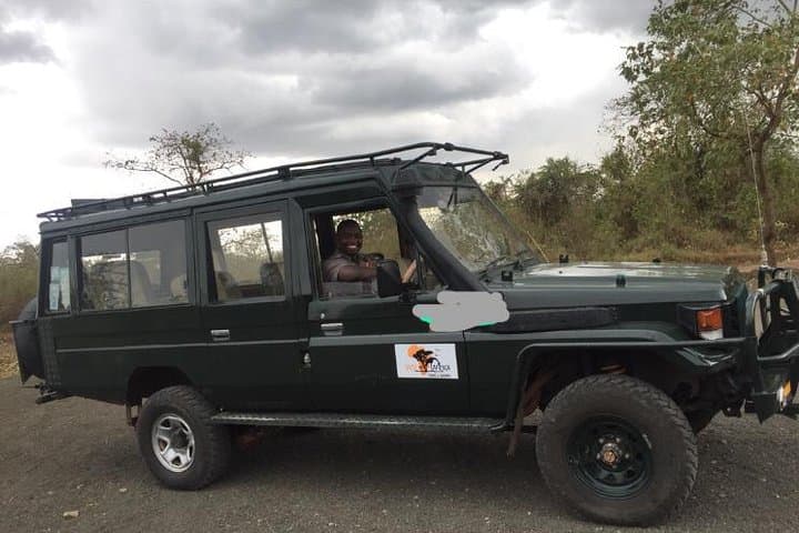 11-Day Mount Kilimanjaro Marangu Route and Private Tanzania Safari photo 5