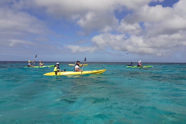 Glass-Bottom Kayak Tour Through Aruba's Mangrove Forest photo 2