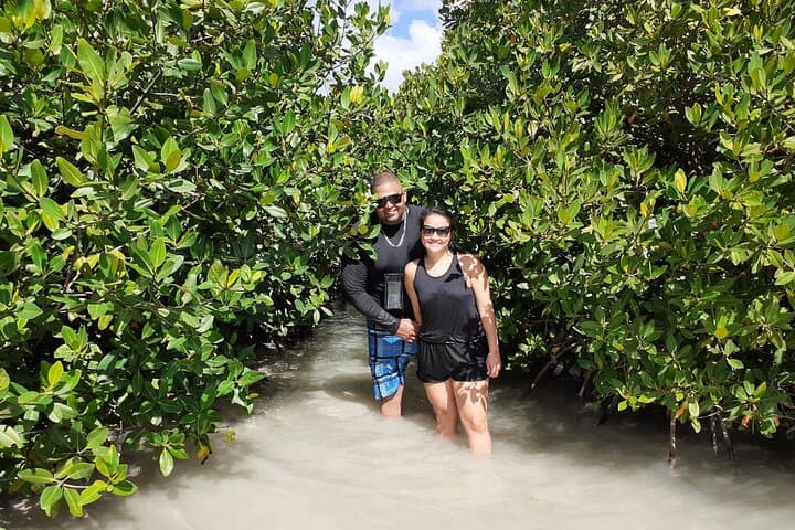 Glass-Bottom Kayak Tour Through Aruba's Mangrove Forest photo 3