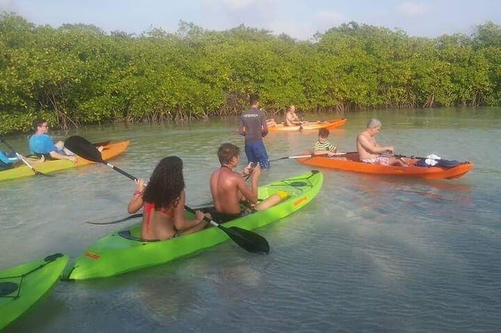 Glass-Bottom Kayak Tour Through Aruba's Mangrove Forest
