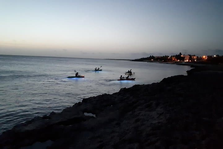 Night Glass-Bottom Kayak Tour in Aruba: Sunset, Reefs & Shipwrecks photo 2
