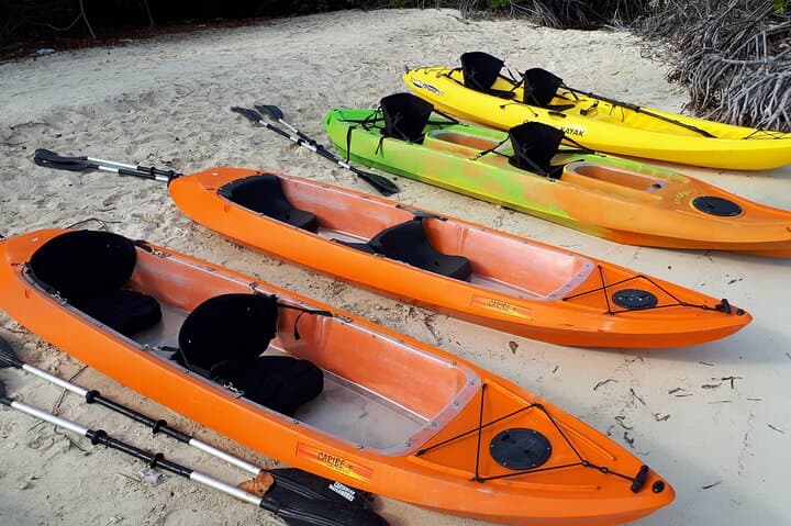 Glass-Bottom Kayak Tour Through Aruba's Mangrove Forest photo 5