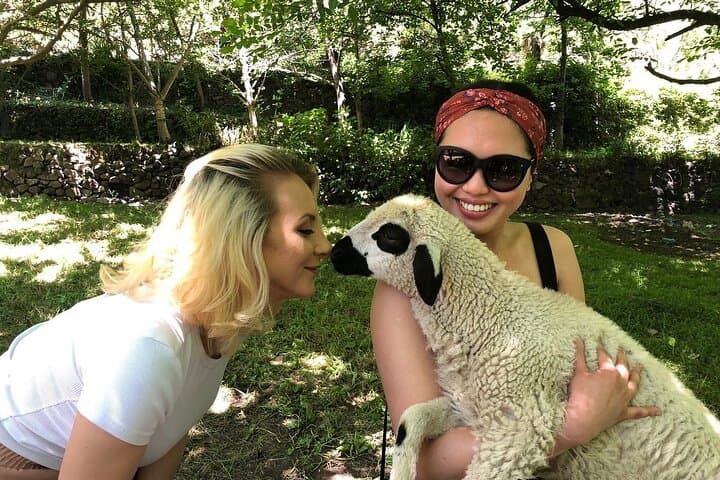 Atlas Mountains Day Trip from Marrakech: Camel Ride, Berber Market & Hike photo 4