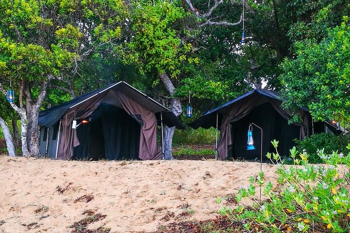 Two-Night Arugam Bay Beach Camp & Kumana Safari from Panama