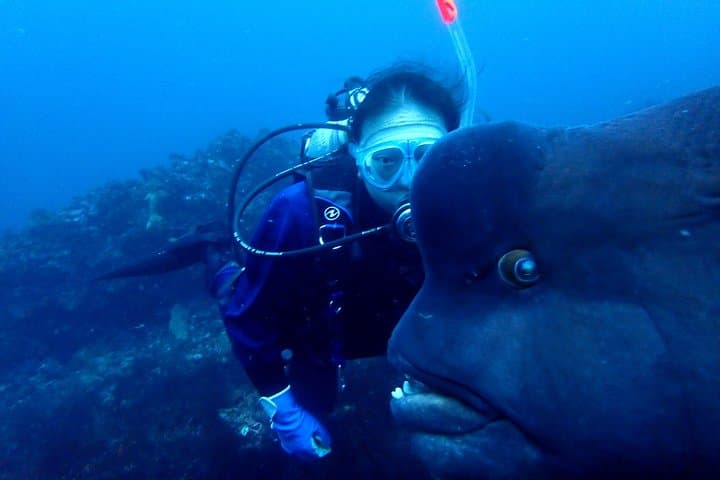 Izu Peninsula Scuba Diving at IOP: Two-Tank Guided Excursion for Certified Divers photo 6