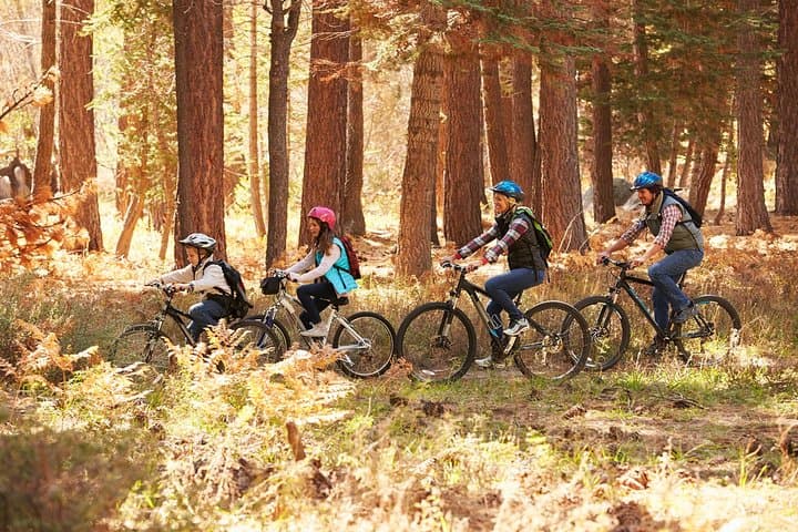 Hunas Falls Cycling Tour from Kandy — Ride Through Paddy Fields, Tea Plantations & Waterfalls photo 3
