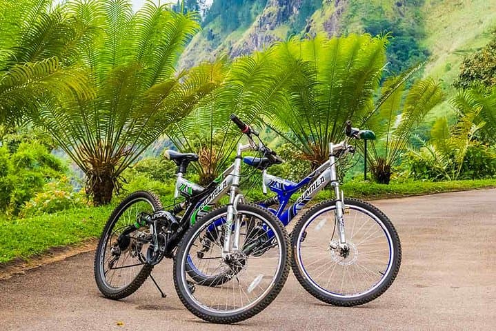 Hunas Falls Cycling Tour from Kandy — Ride Through Paddy Fields, Tea Plantations & Waterfalls photo 5