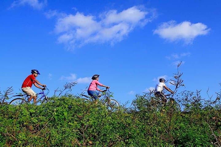 Half-Day Village Cycling and Cookery Experience Near Yala National Park