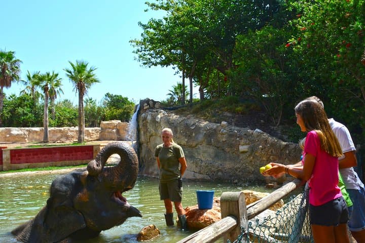 Inside Terra Natura Benidorm: Summer Zooimmersion Ticket Guide photo 4