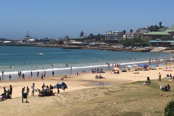 Mossel Bay Day Tour: Dias Caravel, Post Tree & Coastal Walks