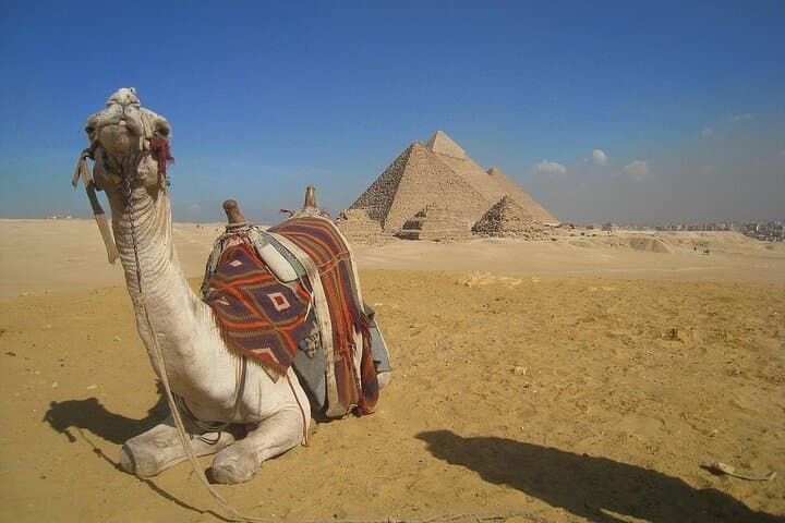 Half-Day Private Tour to the Giza Pyramids & Sphinx — Camel Ride and Lunch photo 4