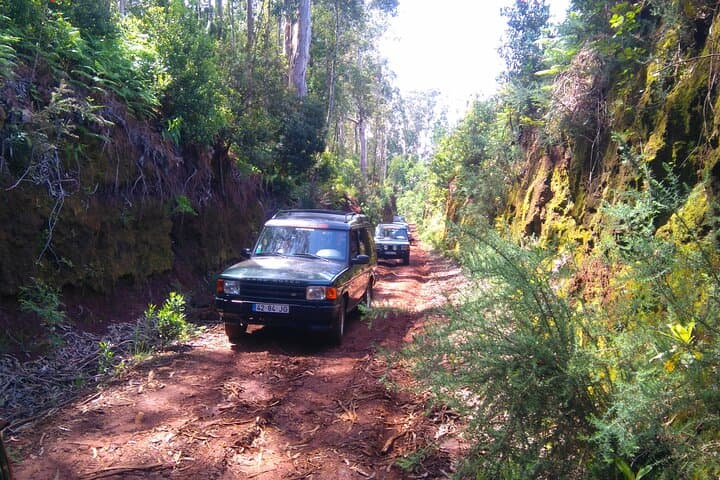 Madeira East Safari: 4x4 Day Trip from Funchal to Ponta de São Lourenço photo 4
