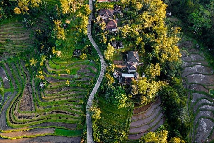 3-Day Glamping & Spirituality Retreat in Jatiluwih, Bali photo 3
