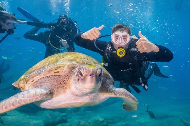 Discover Scuba Diving in Tenerife: Shore and Boat Dives from Los Cristianos photo 1