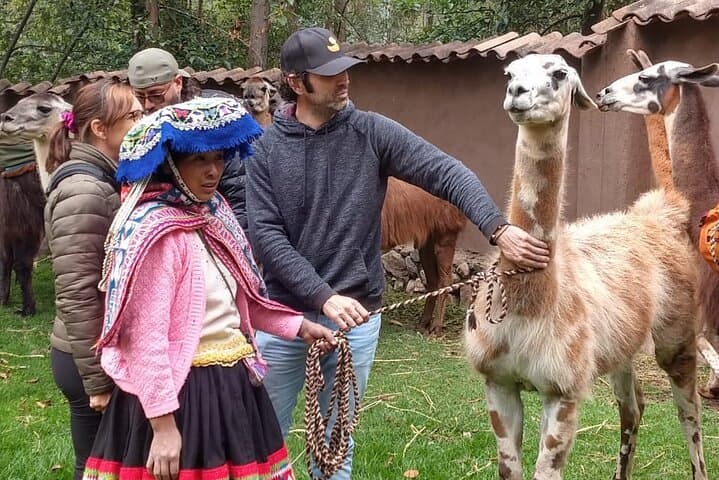 Family Trek with Llamas: Full-Day Llama Pack Experience in Pumahuanca photo 3