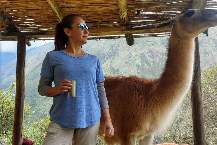 Family Trek with Llamas: Full-Day Llama Pack Experience in Pumahuanca photo 4