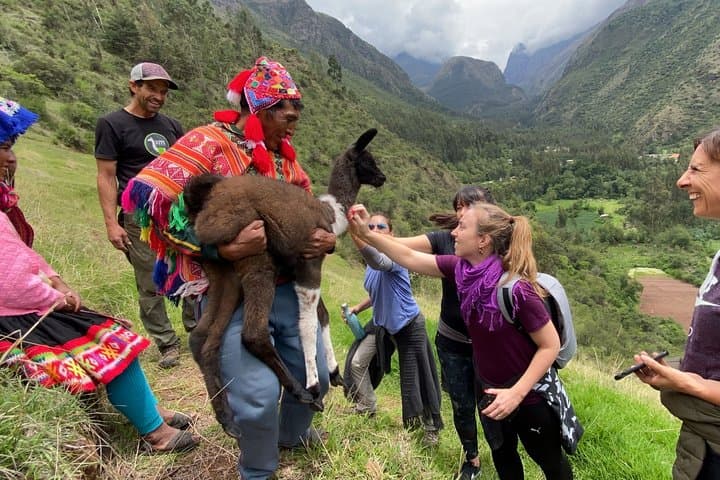 Family Trek with Llamas: Full-Day Llama Pack Experience in Pumahuanca photo 5