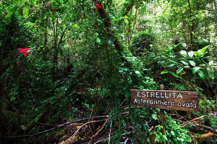 Darwin Route: Chiloe National Park and Chonchi Day Tour photo 3