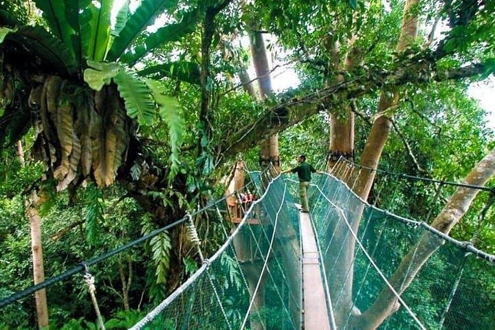 Sabah Highlights Adventure: 7-Day Kinabalu, Islands and Kinabatangan Wildlife photo 1